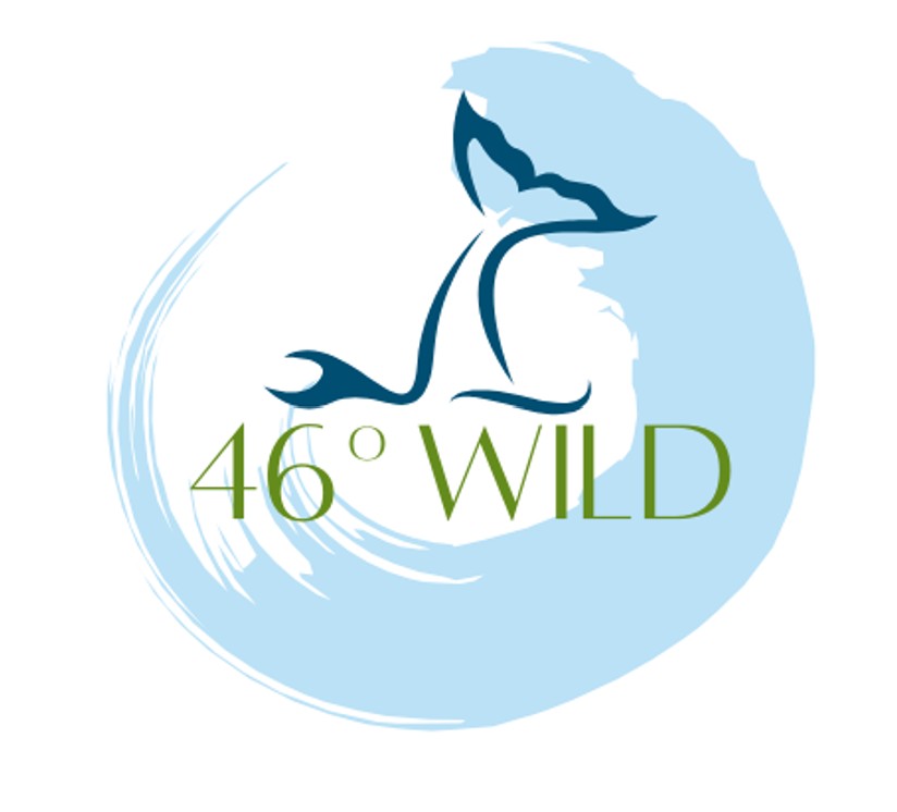46 Wild logo